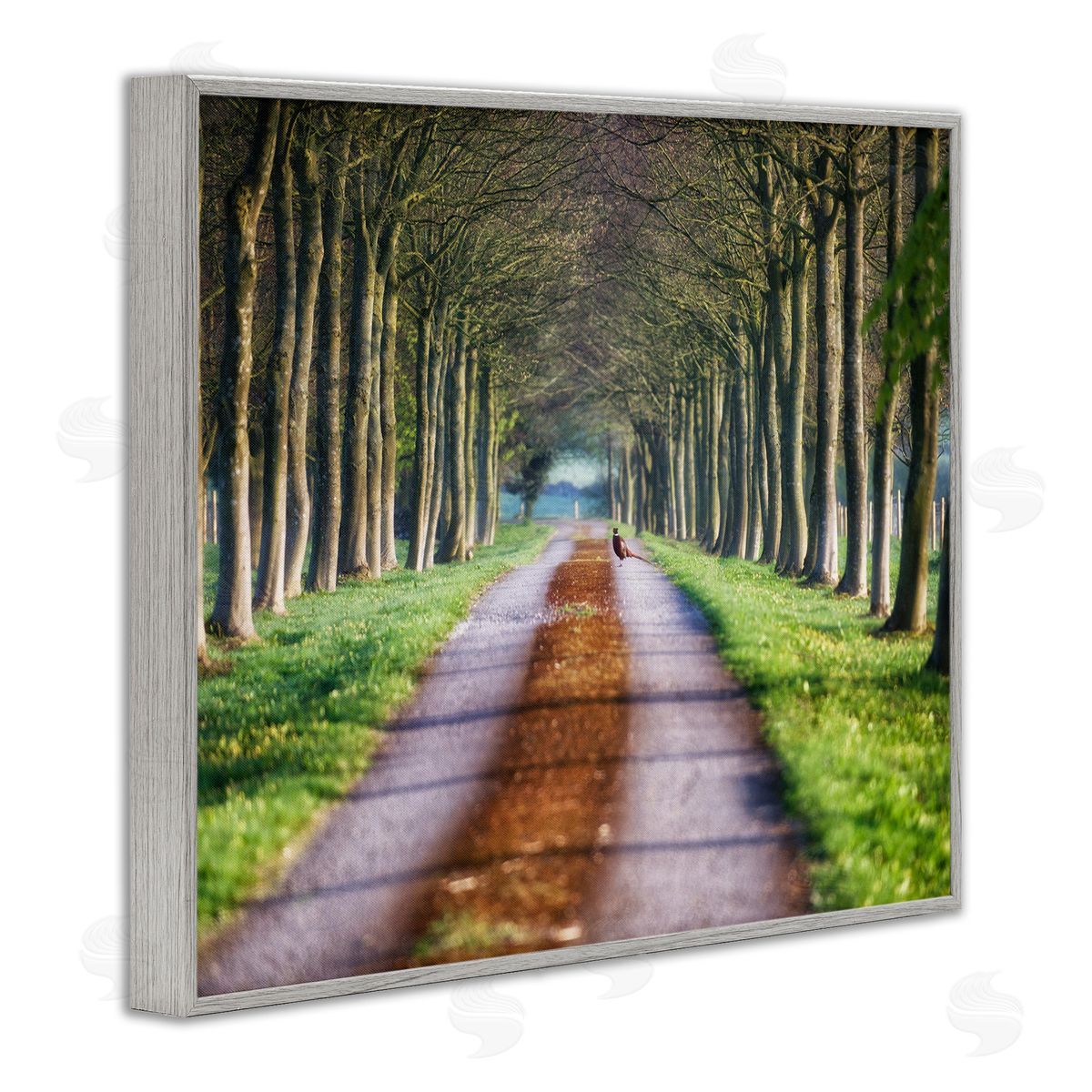 James Dobson Aligned Trees Along Orchard Path Nature Tunnel Gray Framed Giclee Wall Art Print