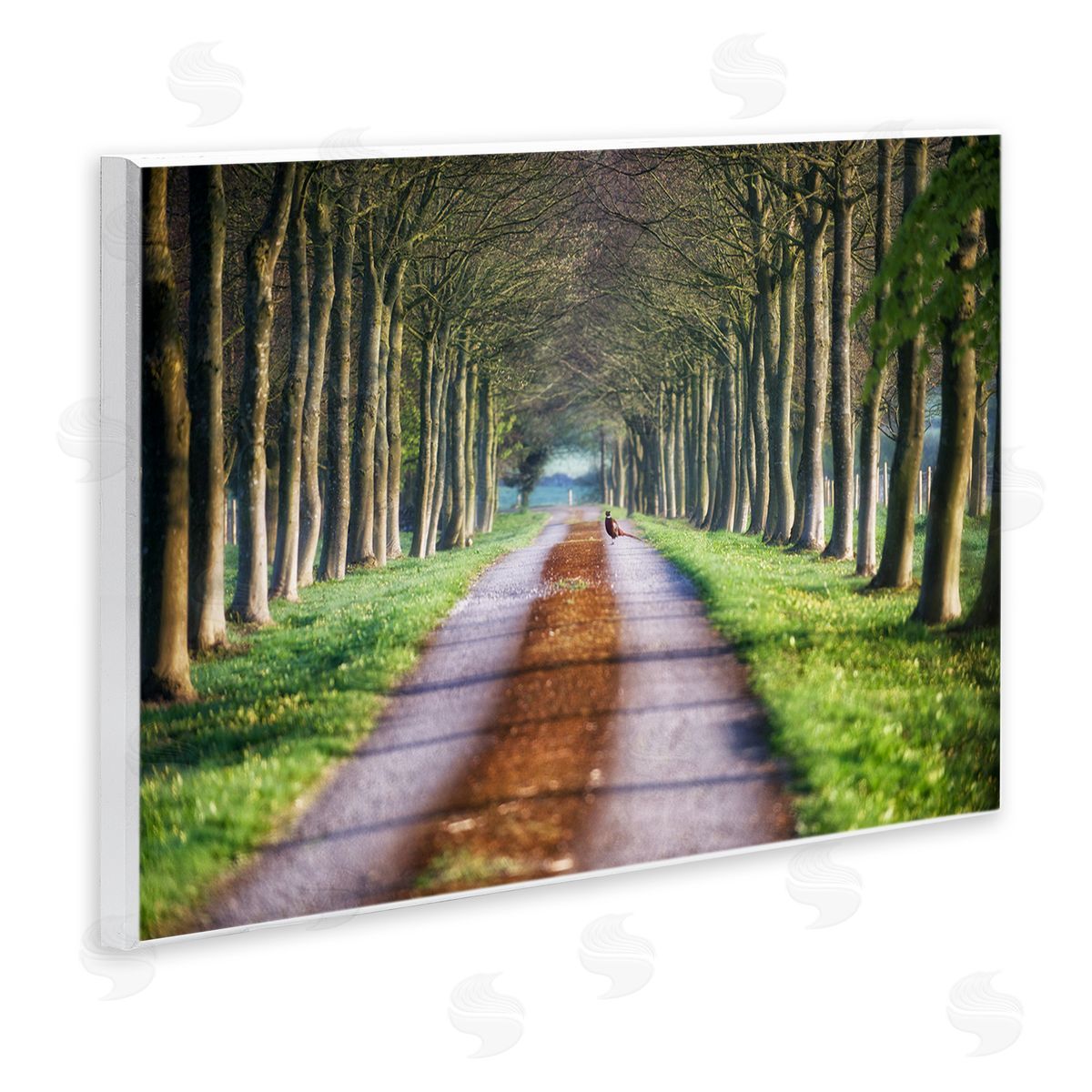 James Dobson Aligned Trees Along Orchard Path Nature Tunnel Wall Plaque Art Print