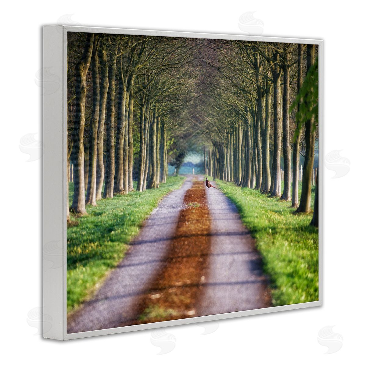 James Dobson Aligned Trees Along Orchard Path Nature Tunnel White Framed Giclee Wall Art Print