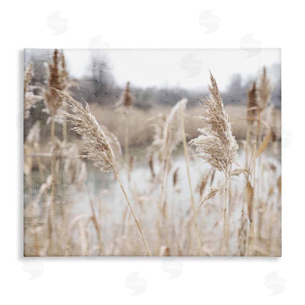 Kim Allen Rural Pampas Grass Reeds Lakeside Pond Marsh Stretched Canvas Wall Art Print