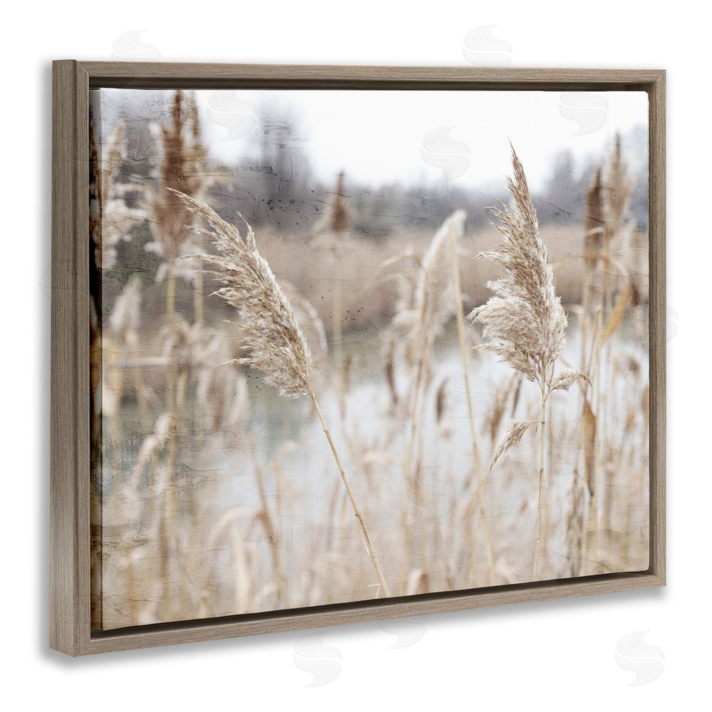 Kim Allen Rural Pampas Grass Reeds Lakeside Pond Marsh Brown Floating Frame Canvas Wall Art Print