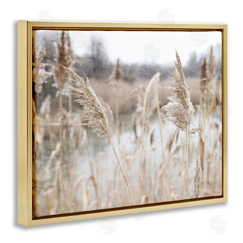 Kim Allen Rural Pampas Grass Reeds Lakeside Pond Marsh Gold Floating Frame Canvas Wall Art Print