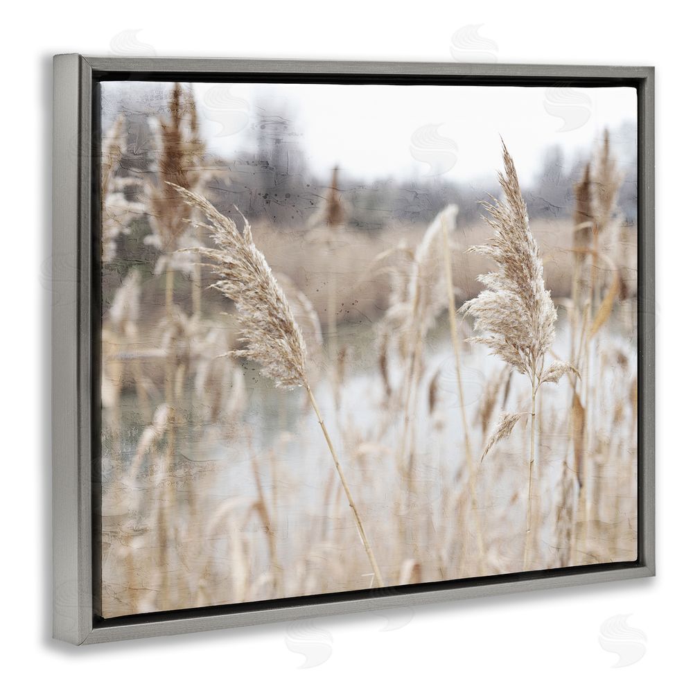 Kim Allen Rural Pampas Grass Reeds Lakeside Pond Marsh Gray Floating Frame Canvas Wall Art Print