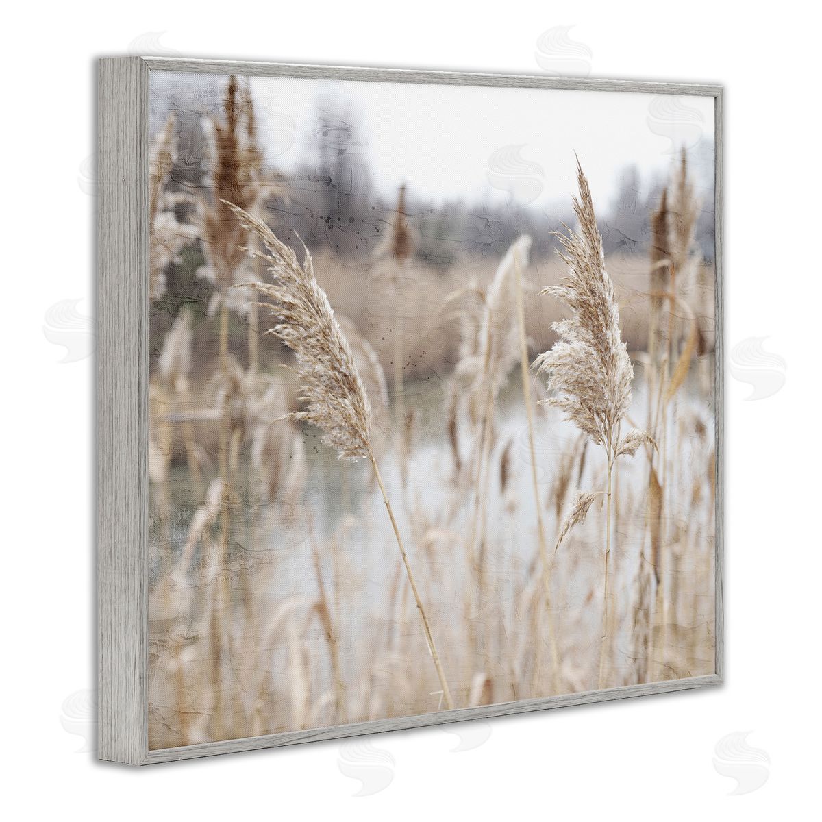Kim Allen Rural Pampas Grass Reeds Lakeside Pond Marsh Gray Framed Giclee Wall Art Print