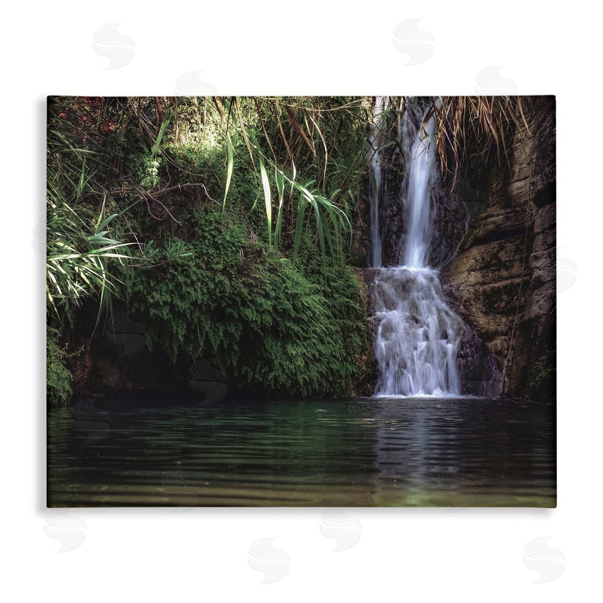 Stupell Studio Tranquil Waterfall Rainforest Environment Nature Clearing Photography Stretched Canvas Wall Art Print