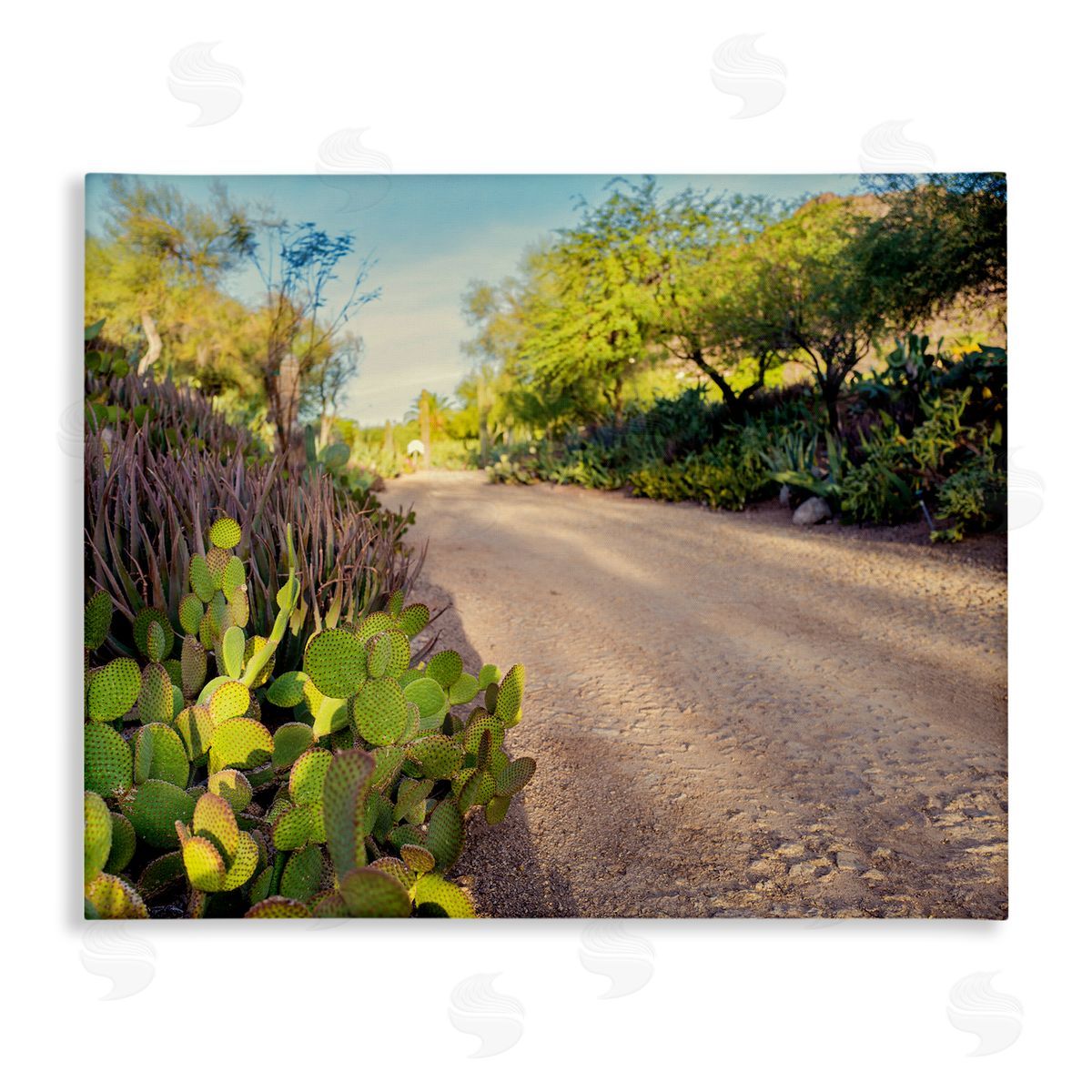 Bill Carson Photography Roadside Greenery Botanicals Arid Desert Cactus Plants  Stretched Canvas Wall Art Print
