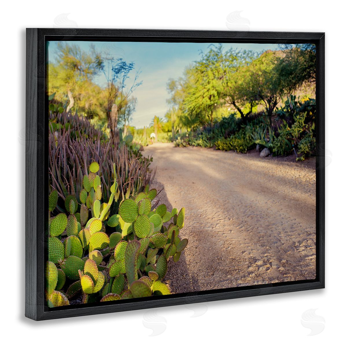 Bill Carson Photography Roadside Greenery Botanicals Arid Desert Cactus Plants  Black Floating Frame Canvas Wall Art Print