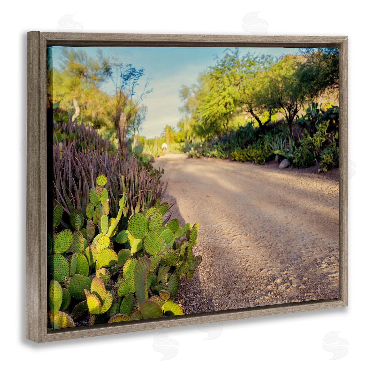 Bill Carson Photography Roadside Greenery Botanicals Arid Desert Cactus Plants  Brown Floating Frame Canvas Wall Art Print