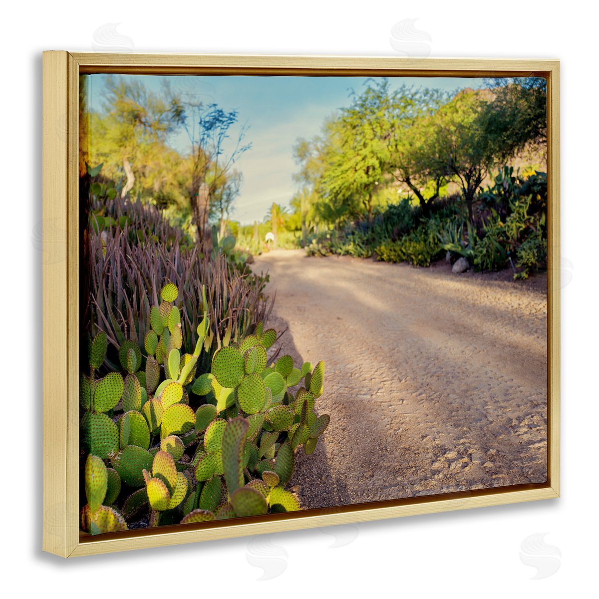 Bill Carson Photography Roadside Greenery Botanicals Arid Desert Cactus Plants  Gold Floating Frame Canvas Wall Art Print