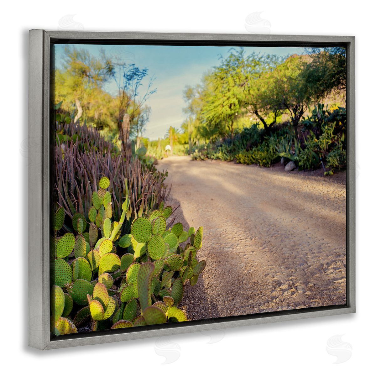 Bill Carson Photography Roadside Greenery Botanicals Arid Desert Cactus Plants  Gray Floating Frame Canvas Wall Art Print