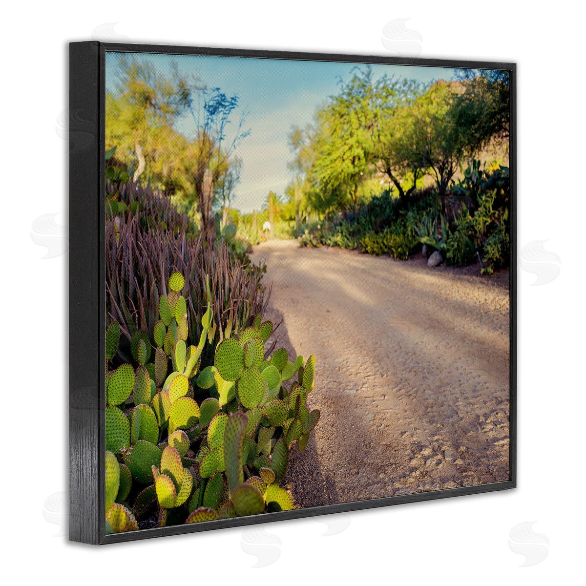 Bill Carson Photography Roadside Greenery Botanicals Arid Desert Cactus Plants  Black Framed Giclee Wall Art Print