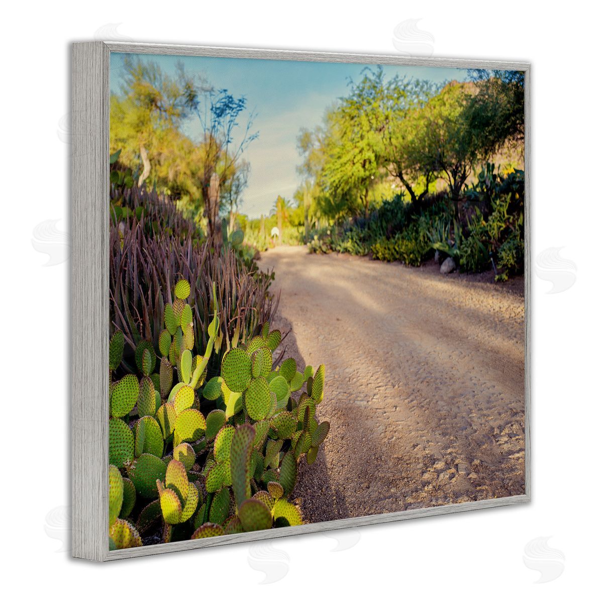 Bill Carson Photography Roadside Greenery Botanicals Arid Desert Cactus Plants  Gray Framed Giclee Wall Art Print