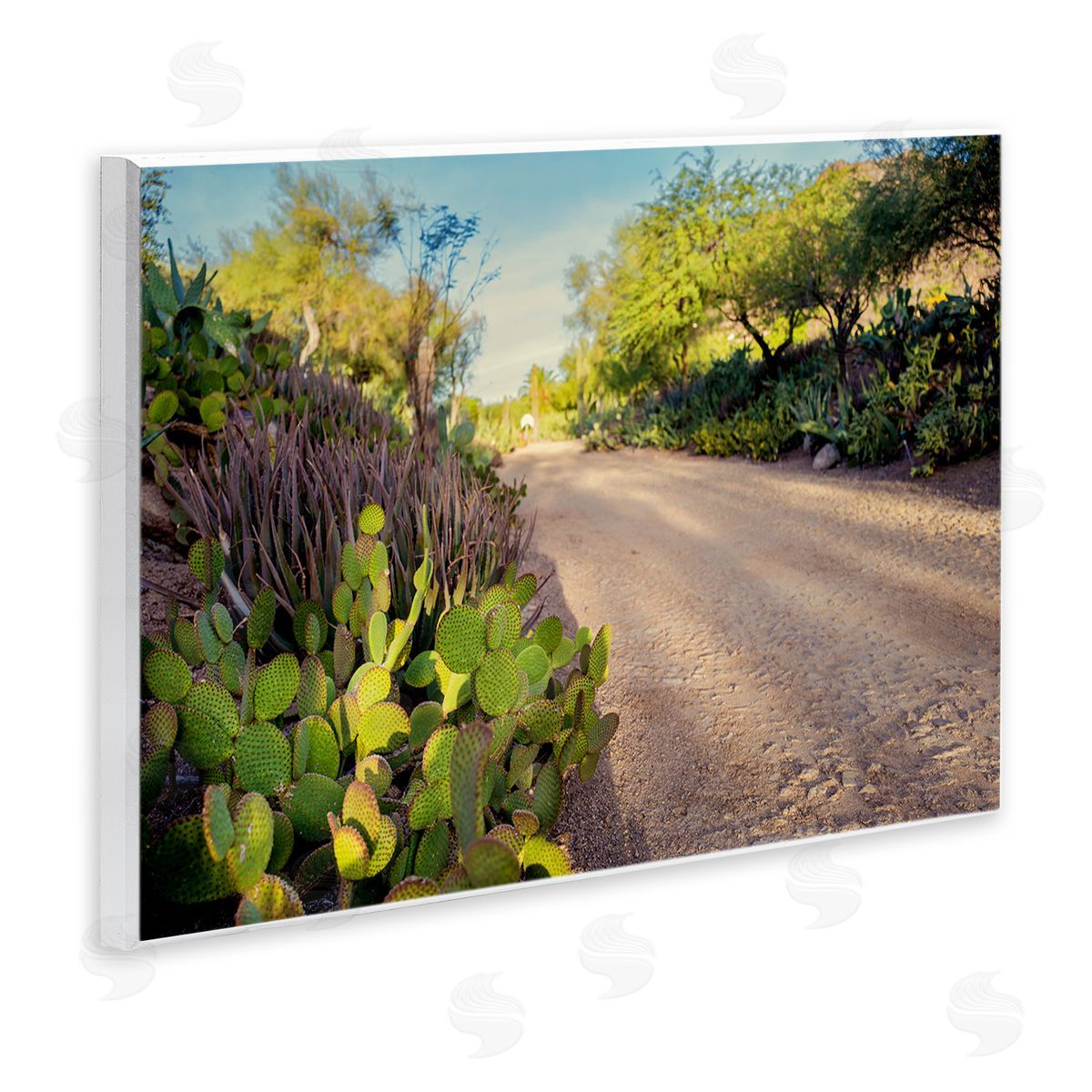 Bill Carson Photography Roadside Greenery Botanicals Arid Desert Cactus Plants  Wall Plaque Art Print