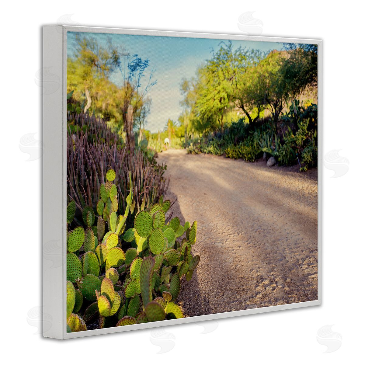 Bill Carson Photography Roadside Greenery Botanicals Arid Desert Cactus Plants  White Framed Giclee Wall Art Print