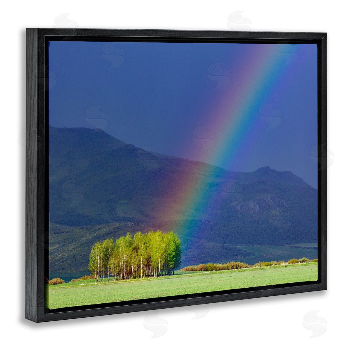 Steve Smith Uplifting Rainbow Rays Tree Grove Mountain Landscape Black Floating Frame Canvas Wall Art Print