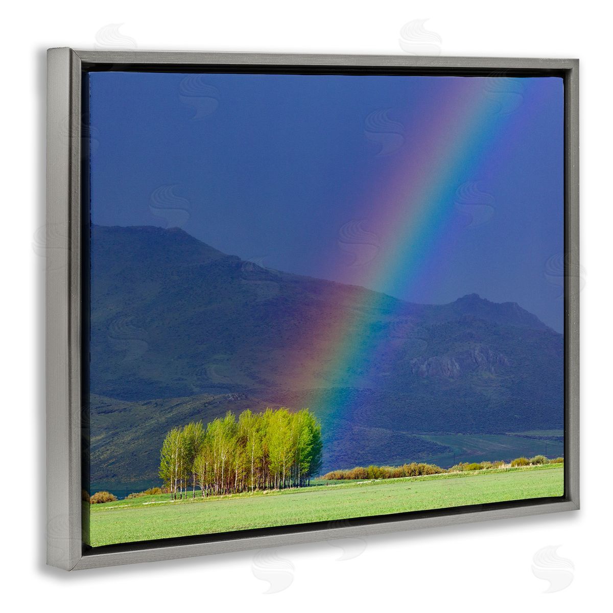 Steve Smith Uplifting Rainbow Rays Tree Grove Mountain Landscape Gray Floating Frame Canvas Wall Art Print