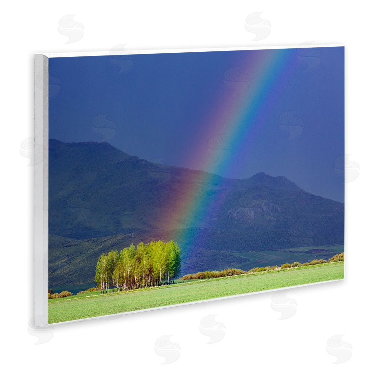 Steve Smith Uplifting Rainbow Rays Tree Grove Mountain Landscape Wall Plaque Art Print