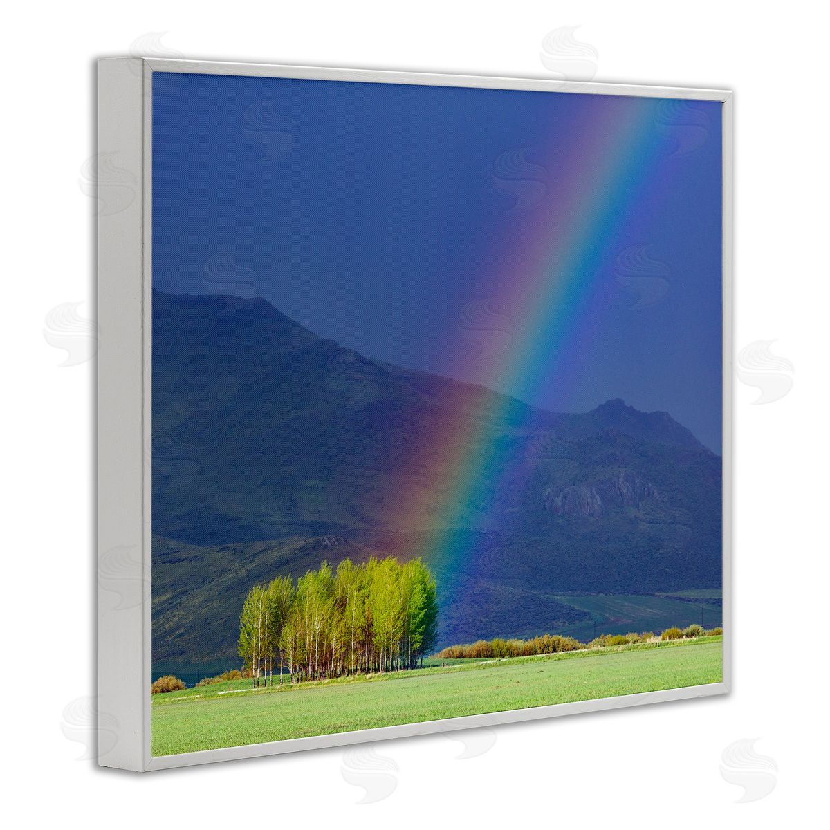 Steve Smith Uplifting Rainbow Rays Tree Grove Mountain Landscape White Framed Giclee Wall Art Print