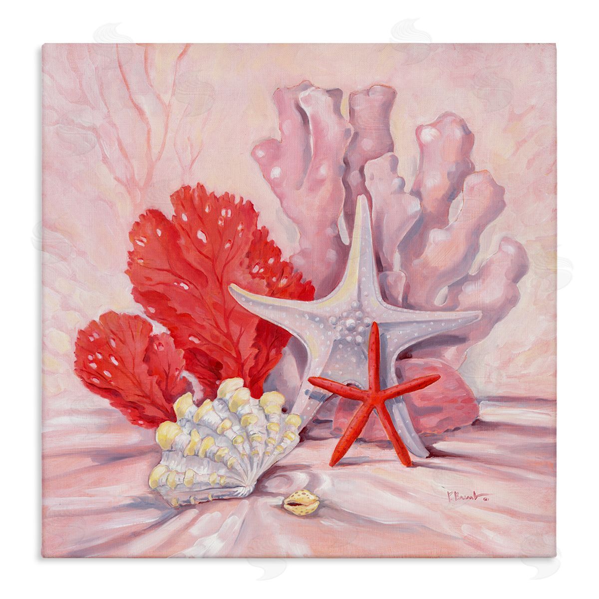 Paul Brent Pink Shells Coral Still Life Stretched Canvas Wall Art Print