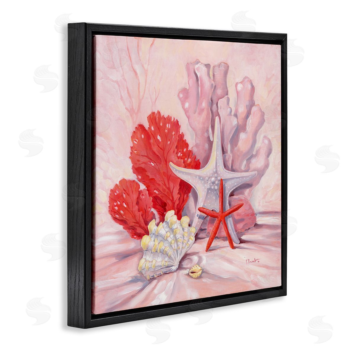 Paul Brent Pink Shells Coral Still Life Black Floating Frame Canvas Wall Art Print