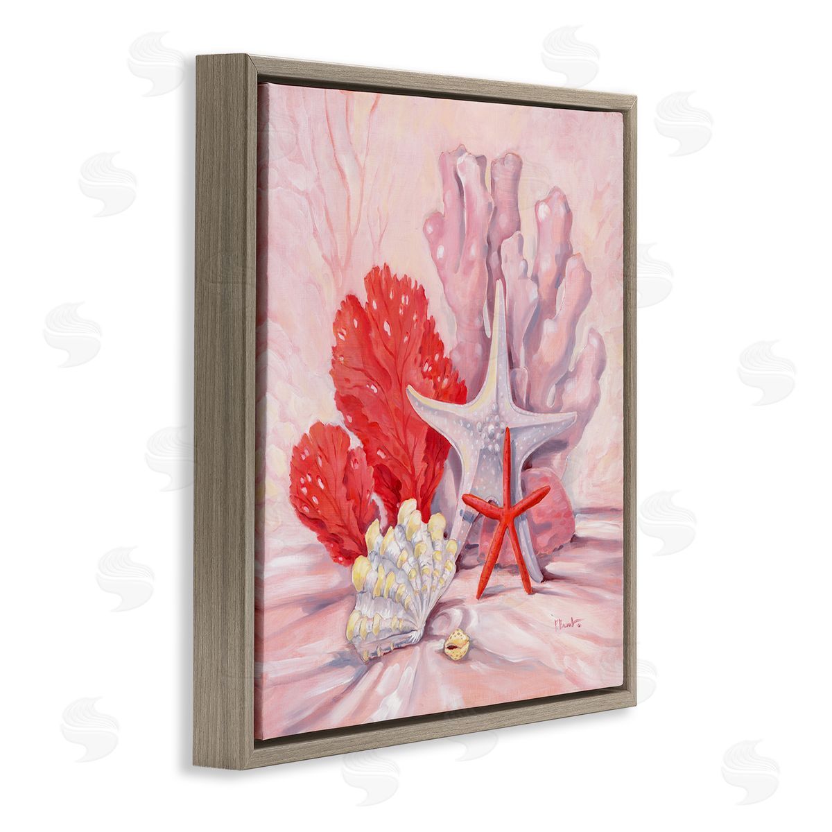 Paul Brent Pink Shells Coral Still Life Brown Floating Frame Canvas Wall Art Print