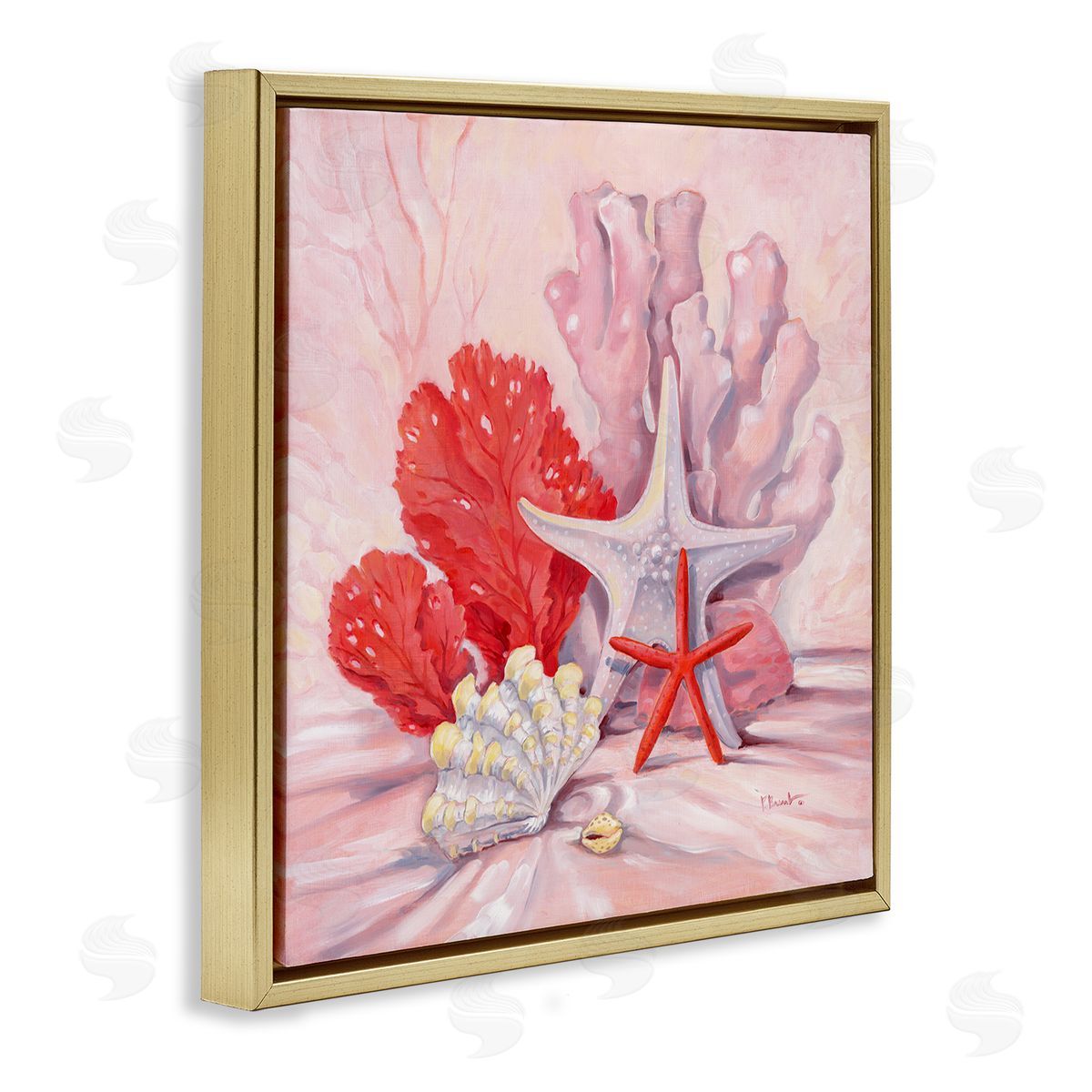 Paul Brent Pink Shells Coral Still Life Gold Floating Frame Canvas Wall Art Print