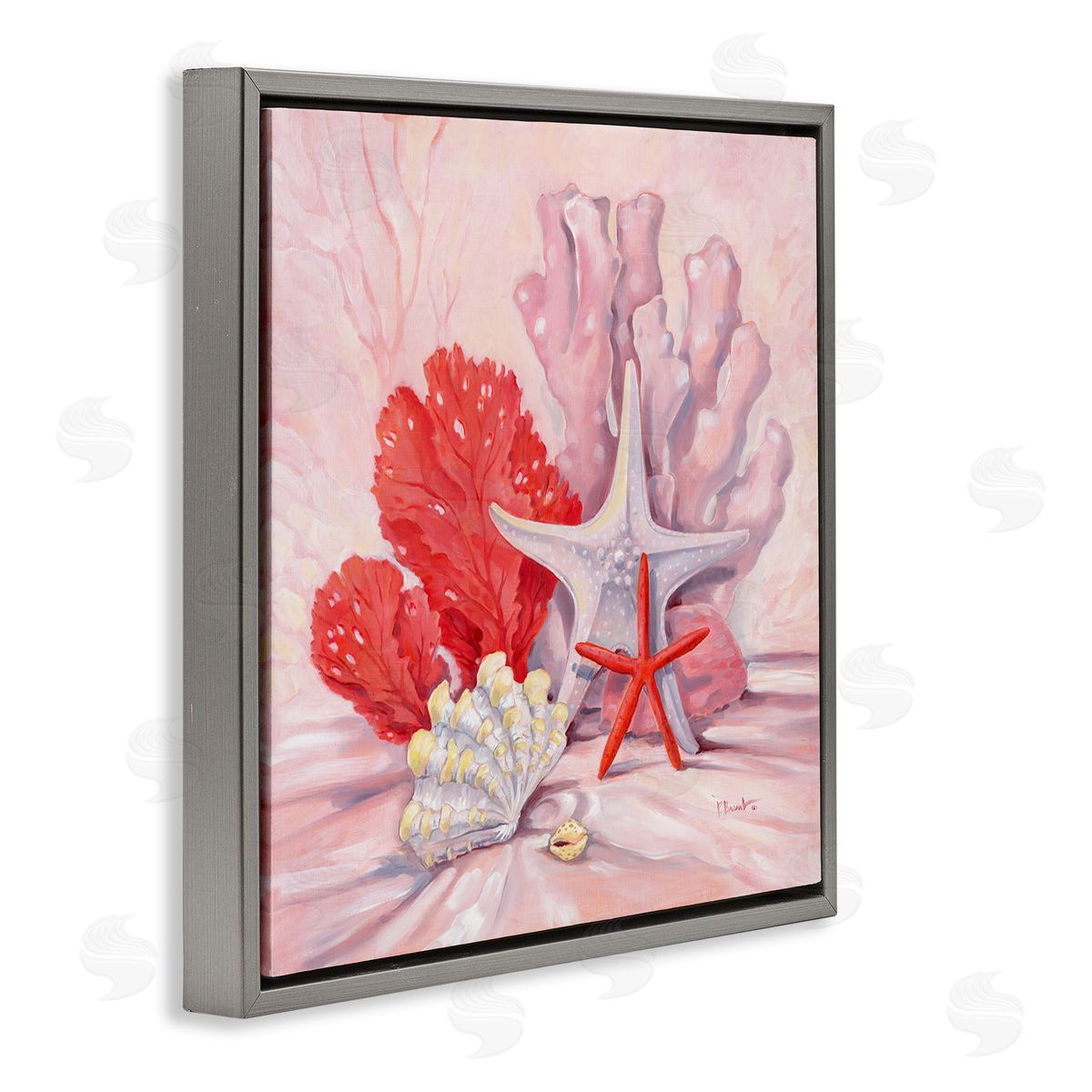 Paul Brent Pink Shells Coral Still Life Gray Floating Frame Canvas Wall Art Print