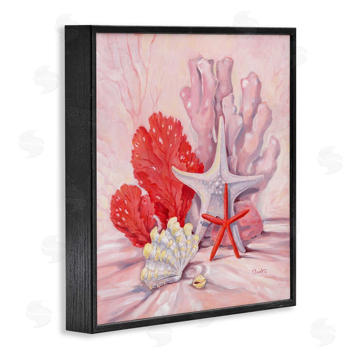 Paul Brent Pink Shells Coral Still Life Black Framed Glicee Wall Art Print
