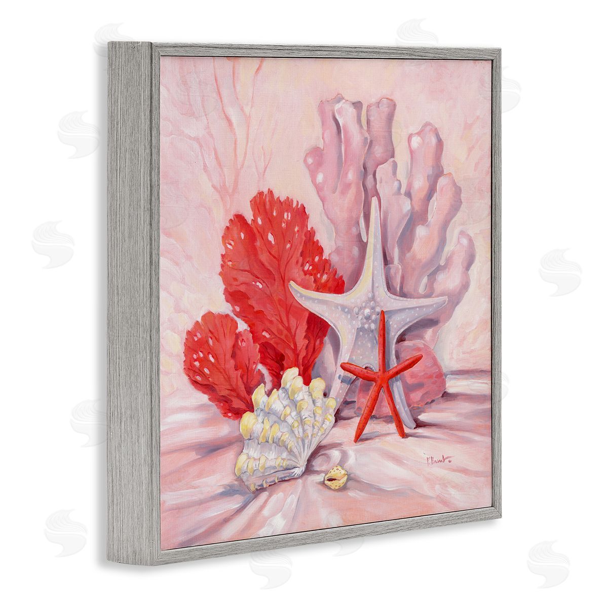 Paul Brent Pink Shells Coral Still Life Gray Framed Glicee Wall Art Print