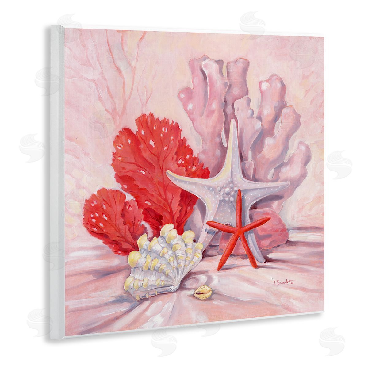 Paul Brent Pink Shells Coral Still Life Wooden Wall Plaque Art Print