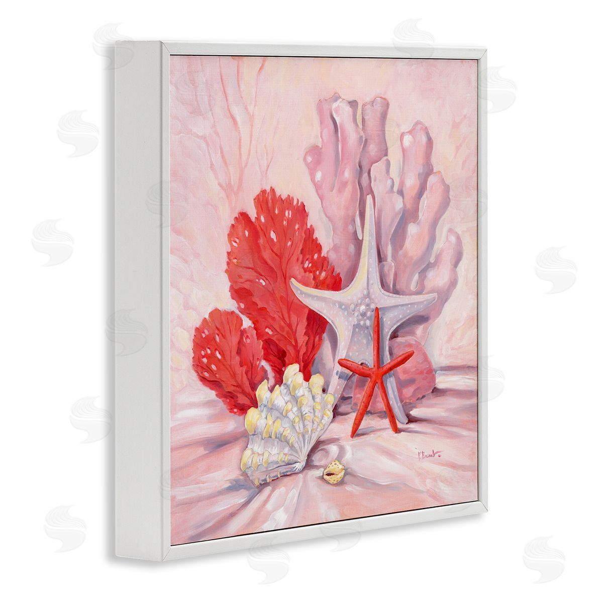 Paul Brent Pink Shells Coral Still Life White Framed Glicee Wall Art Print