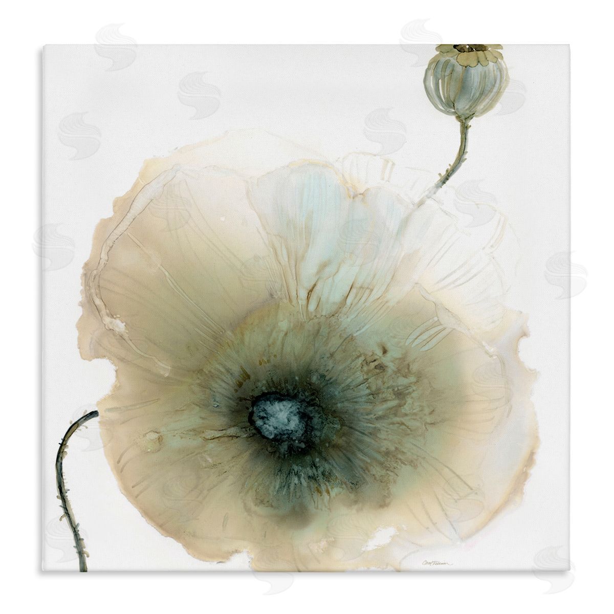 Carol Robinson Modern Poppy Flower Blossom Composition Stretched Canvas Wall Art Print