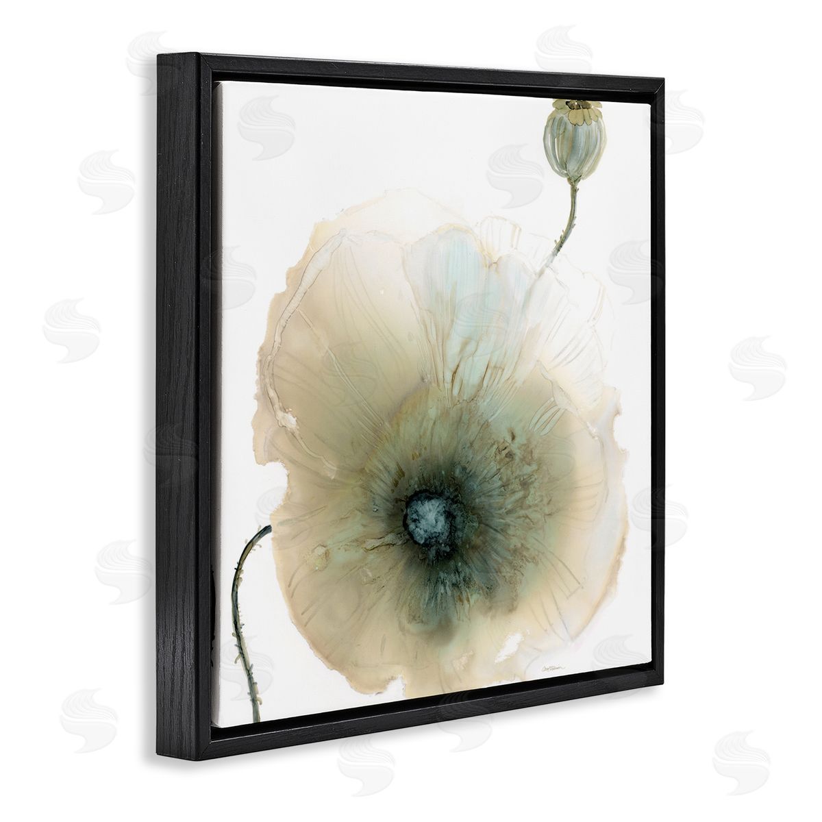 Carol Robinson Modern Poppy Flower Blossom Composition Black Floating Frame Canvas Wall Art Print