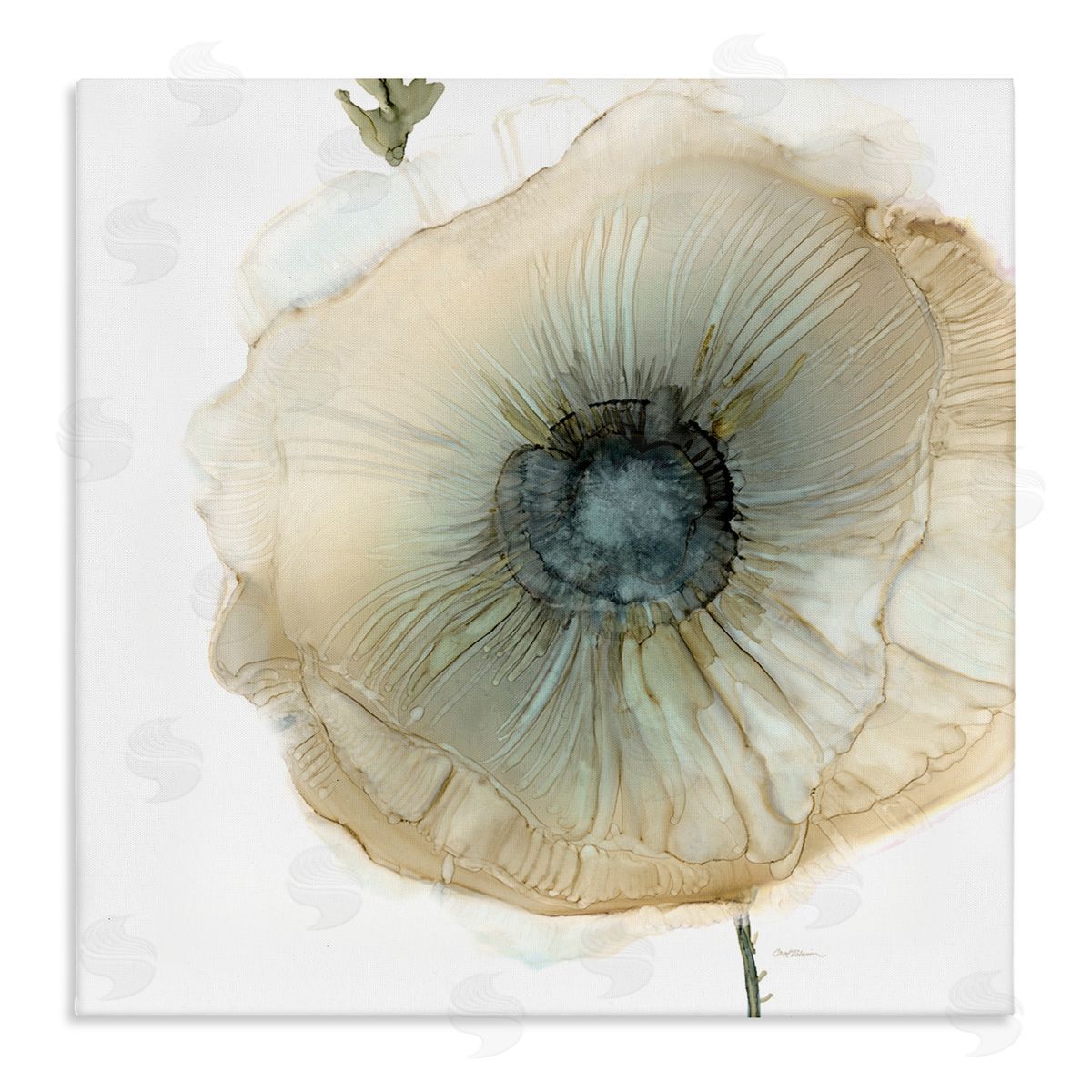 Carol Robinson Contemporary Flower Petal Poppy Blossom Stretched Canvas Wall Art Print