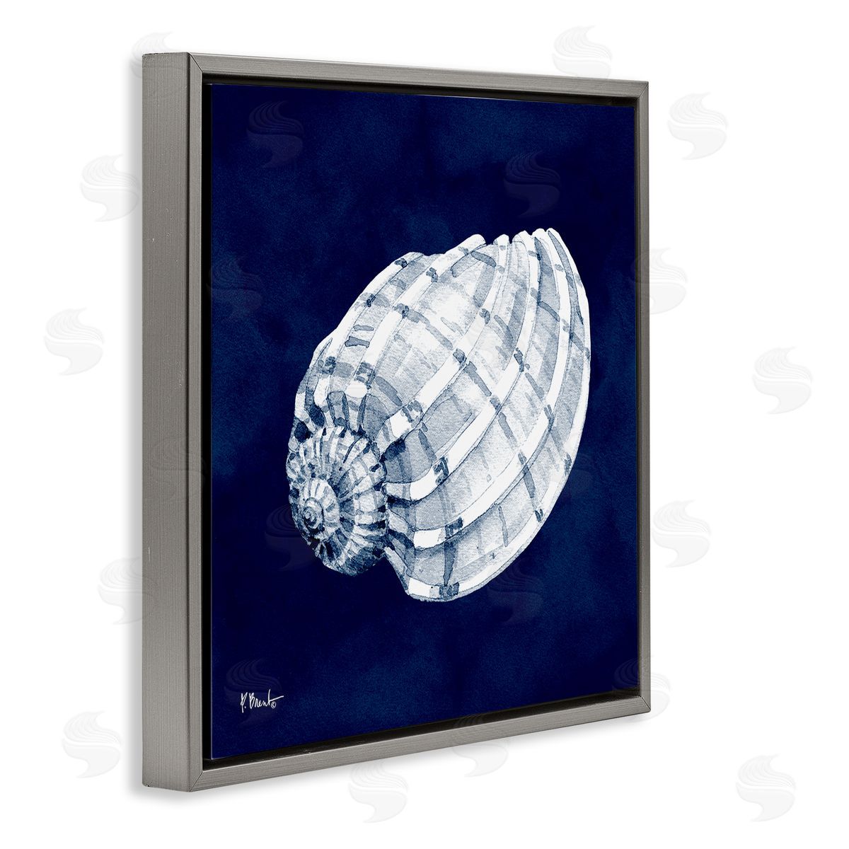 Paul Brent Cyanotype Shells Coastal Illustration Gray Floating Frame Canvas Wall Art Print