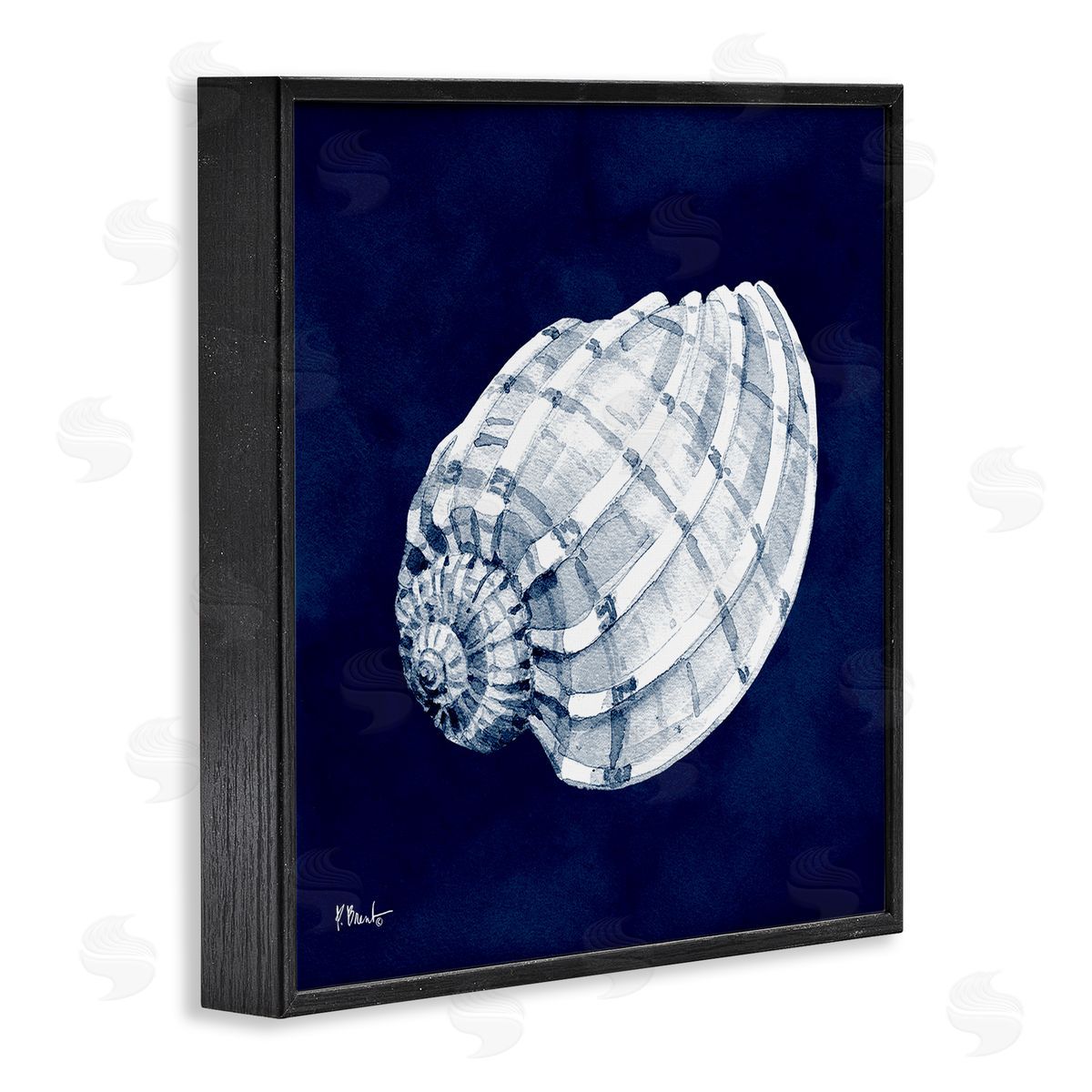 Paul Brent Cyanotype Shells Coastal Illustration Black Framed Glicee Wall Art Print