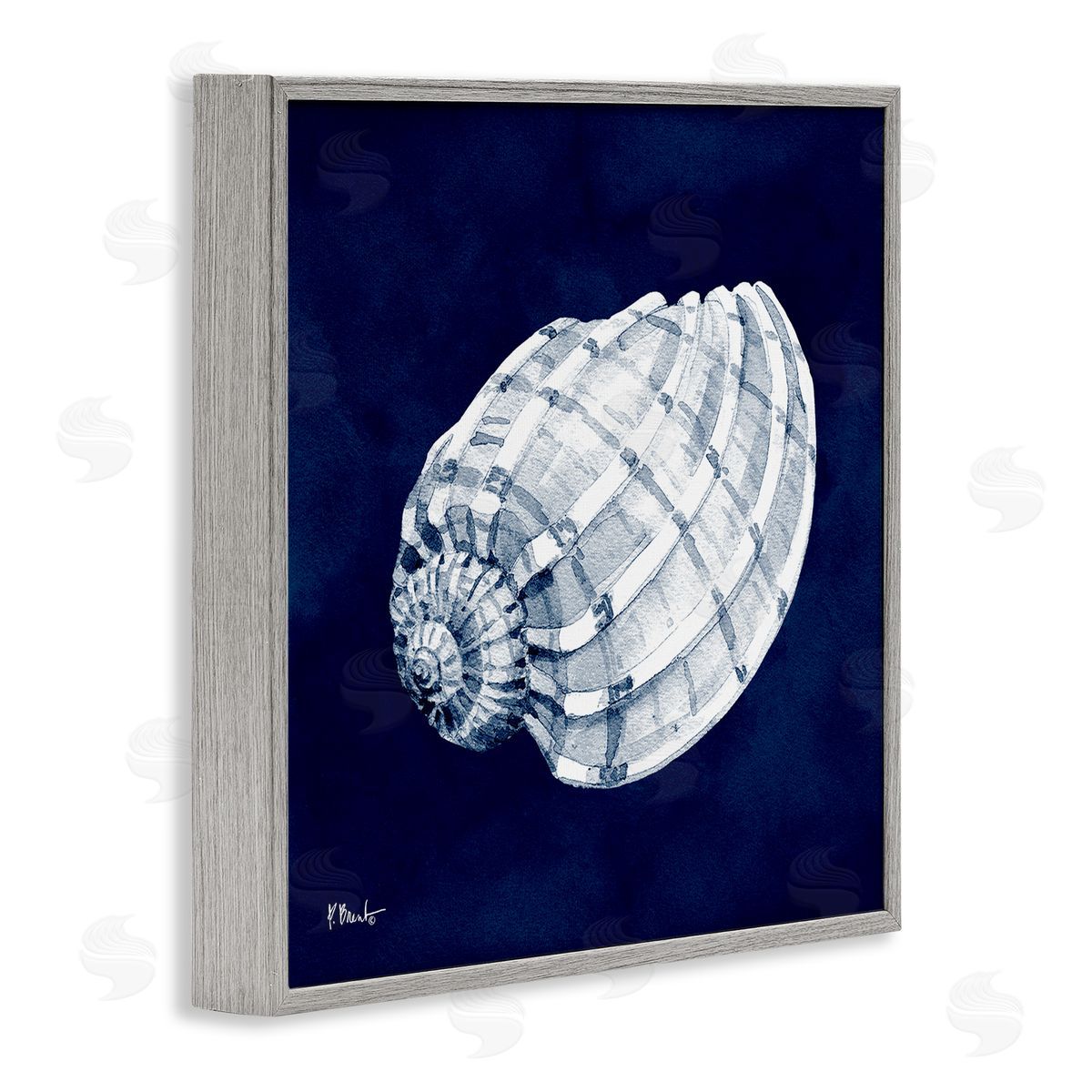 Paul Brent Cyanotype Shells Coastal Illustration Gray Framed Glicee Wall Art Print