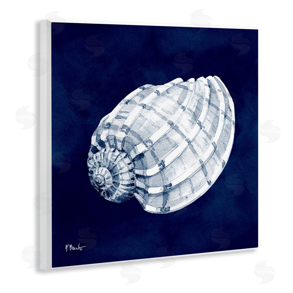 Paul Brent Cyanotype Shells Coastal Illustration Wooden Wall Plaque Art Print