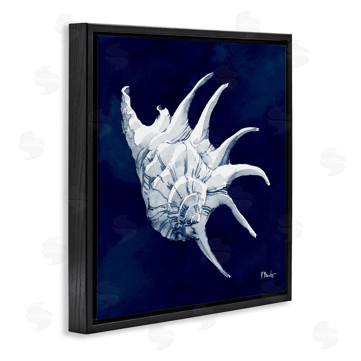 Paul Brent Cyanotype Shells Traditional Conch Black Floating Frame Canvas Wall Art Print