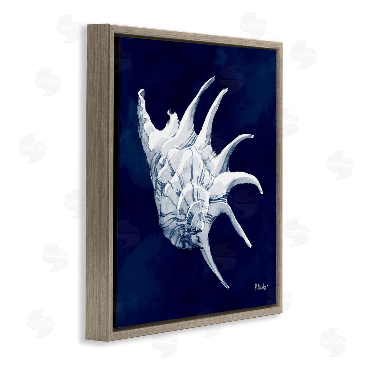 Paul Brent Cyanotype Shells Traditional Conch Brown Floating Frame Canvas Wall Art Print