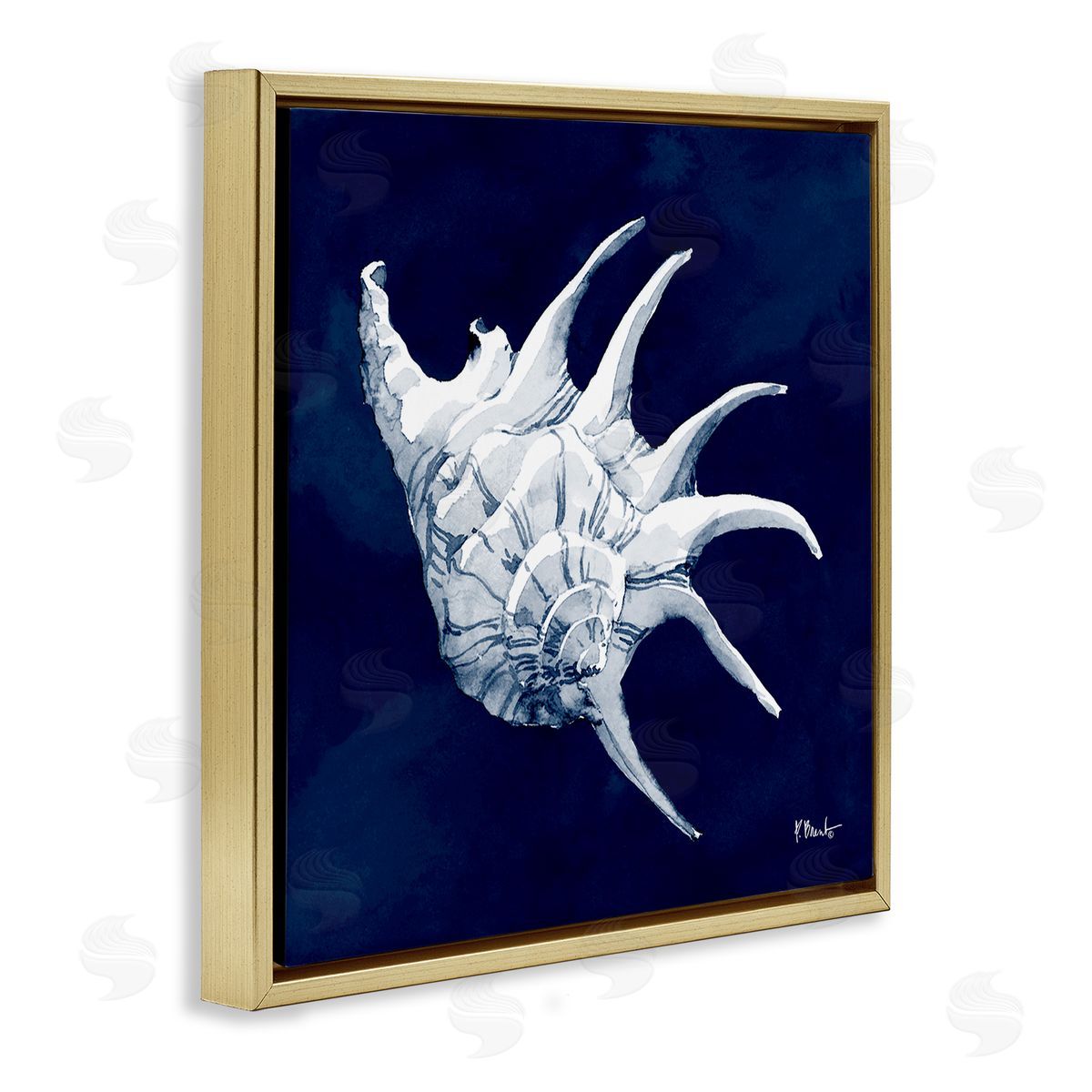 Paul Brent Cyanotype Shells Traditional Conch Gold Floating Frame Canvas Wall Art Print