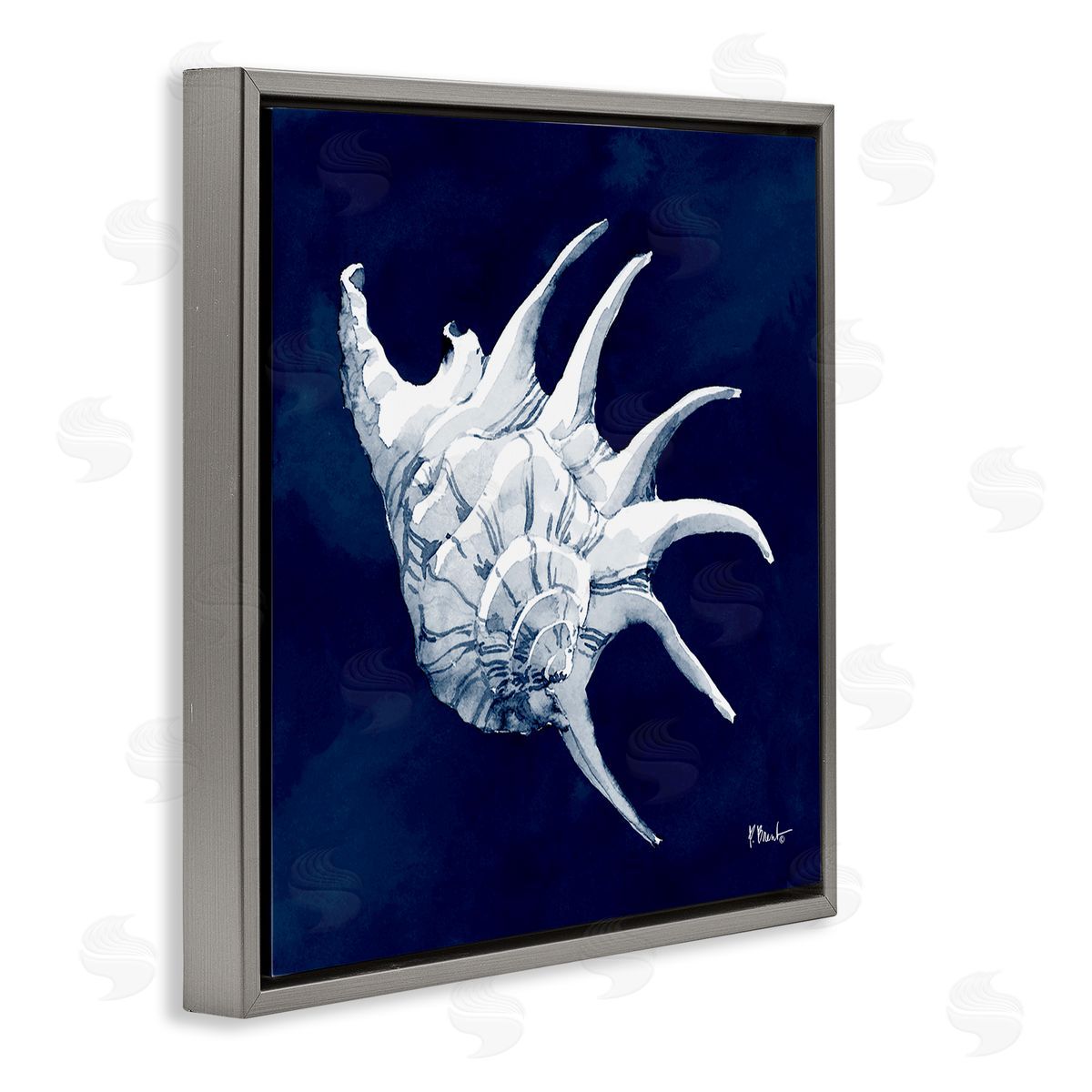 Paul Brent Cyanotype Shells Traditional Conch Gray Floating Frame Canvas Wall Art Print
