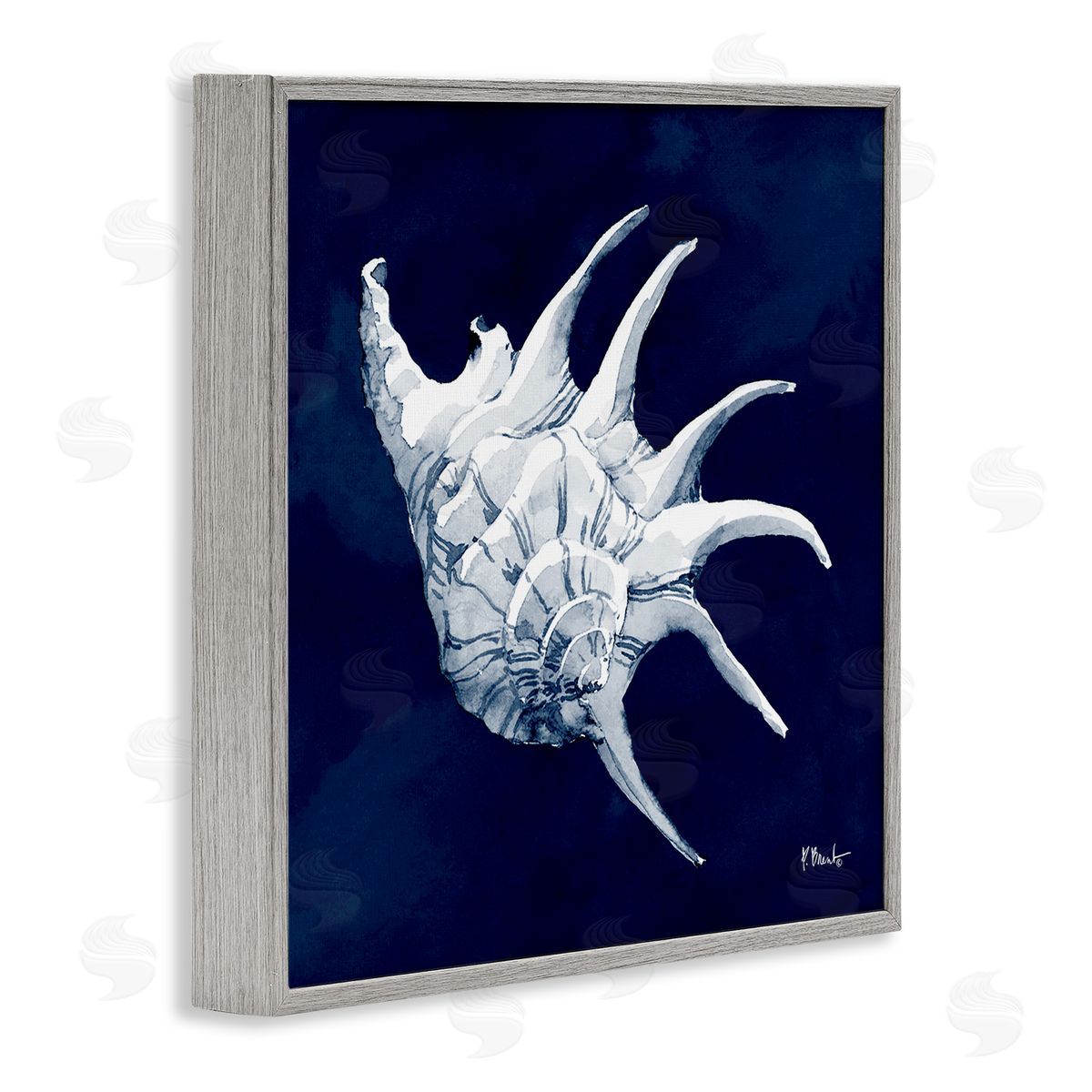Paul Brent Cyanotype Shells Traditional Conch Gray Framed Glicee Wall Art Print