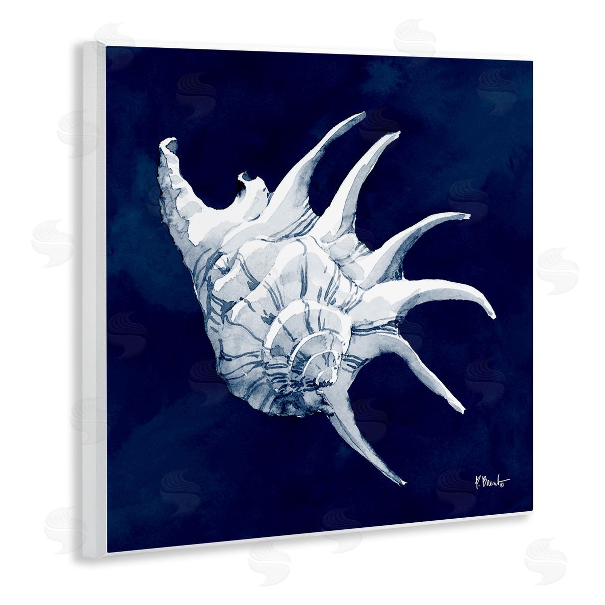 Paul Brent Cyanotype Shells Traditional Conch Wooden Wall Plaque Art Print