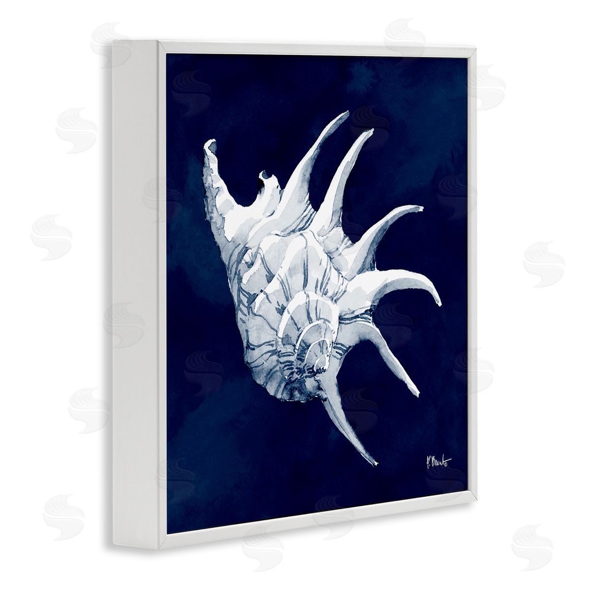 Paul Brent Cyanotype Shells Traditional Conch White Framed Glicee Wall Art Print