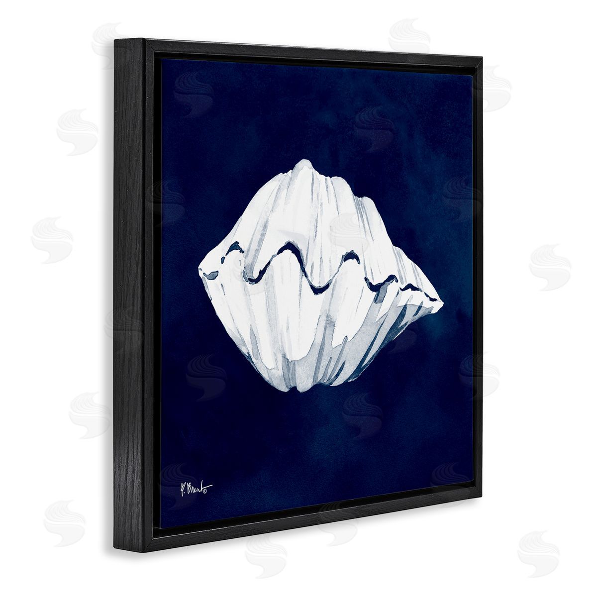 Paul Brent Cyanotype Shells Coastal Clam Black Floating Frame Canvas Wall Art Print
