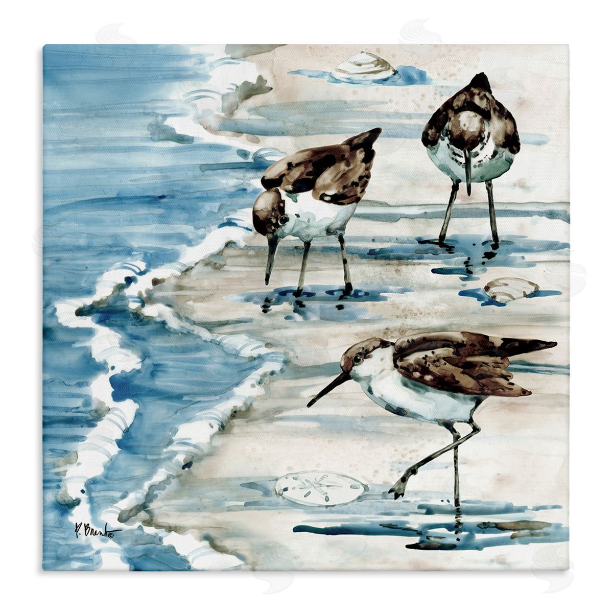 Paul Brent Rockhampton Sandpipers Beach Grazing Stretched Canvas Wall Art Print
