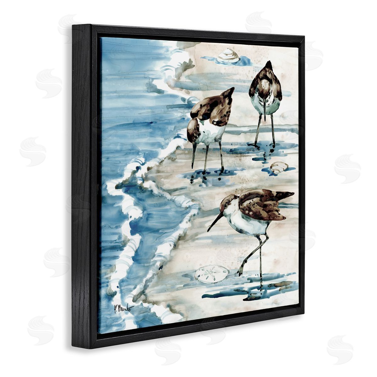 Paul Brent Rockhampton Sandpipers Beach Grazing Black Floating Frame Canvas Wall Art Print