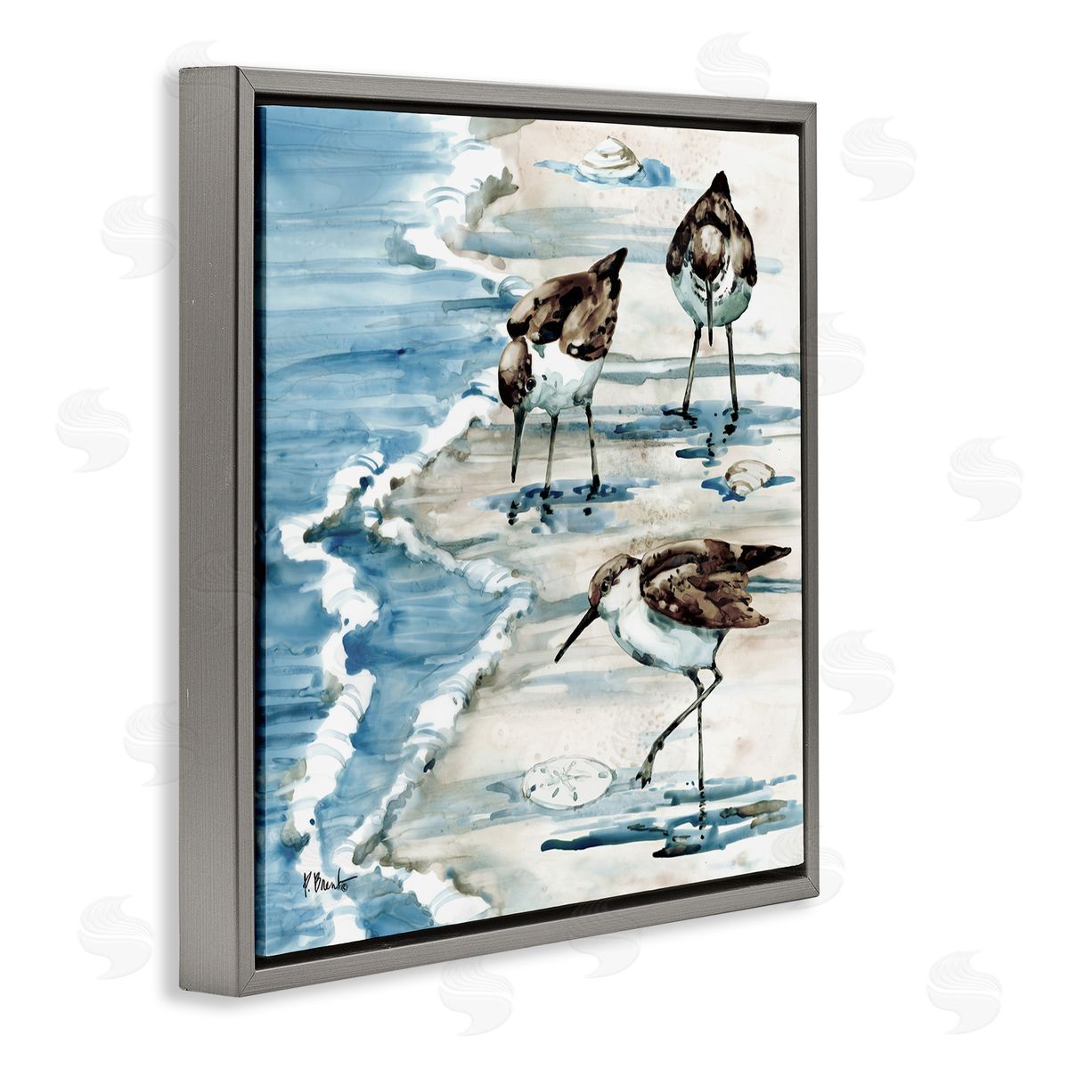 Paul Brent Rockhampton Sandpipers Beach Grazing Gray Floating Frame Canvas Wall Art Print