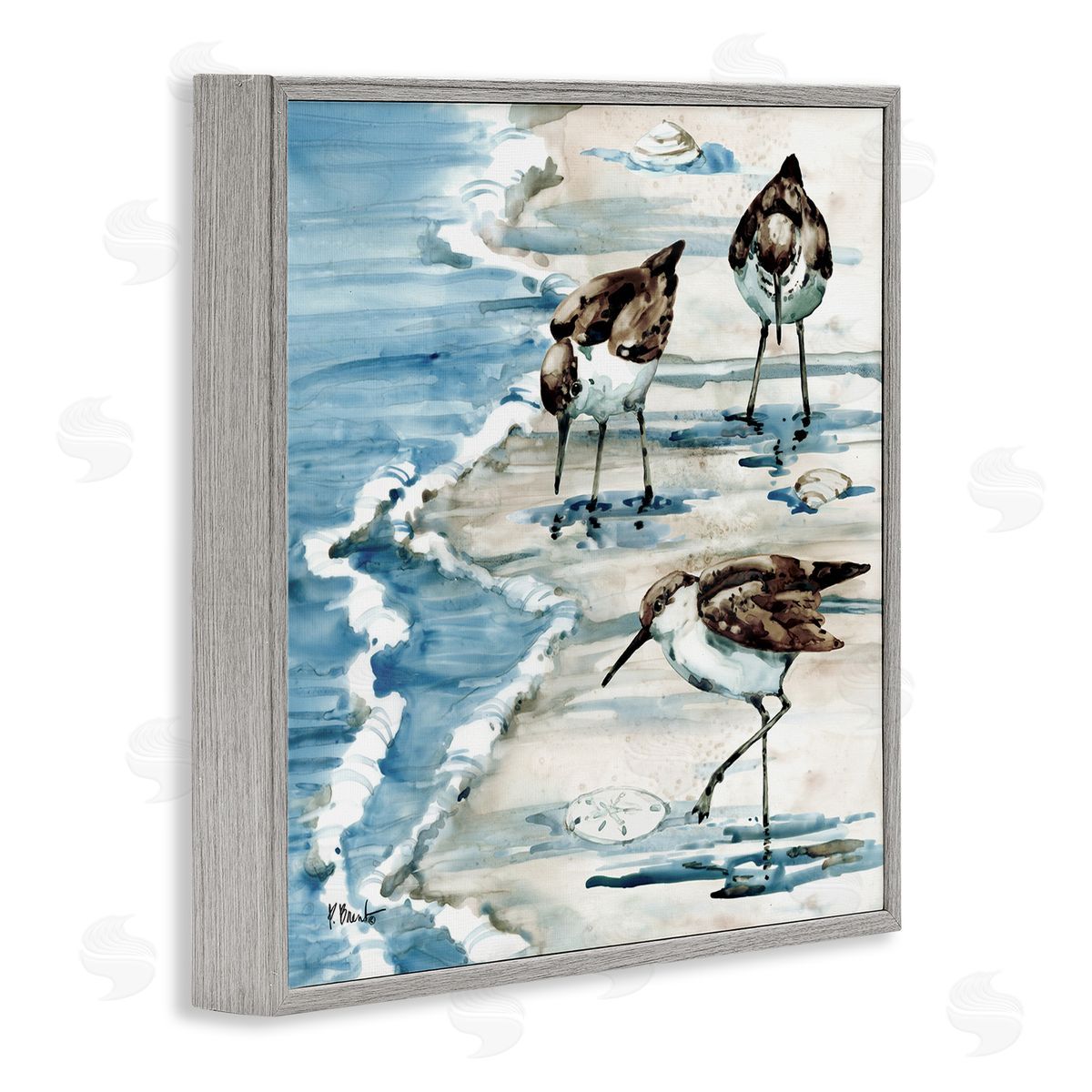 Paul Brent Rockhampton Sandpipers Beach Grazing Gray Framed Glicee Wall Art Print
